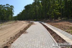 Parcul dendrologic Dr. Ioan Vlad din zona Valea Popii din Alba Iulia 78