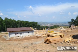 Parcul dendrologic Dr. Ioan Vlad din zona Valea Popii din Alba Iulia 80