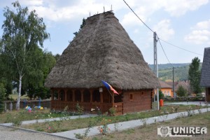 muzeul satului salciua01
