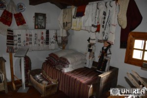 muzeul satului salciua24
