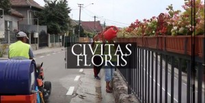 civitas floris