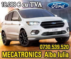 Mecatronics - Dealer FORD - 2019