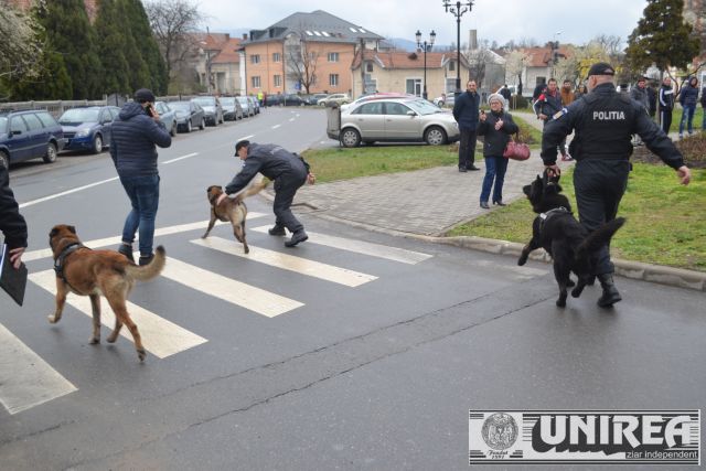 Demonstratie caini de Ziua Politiei Romane la Alba Iulia (38)