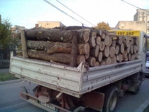 Transport-lemne-de-foc-Cer1