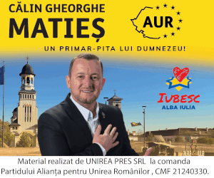 AUR - Alegeri Locale 2024