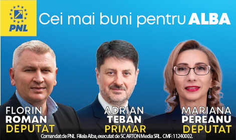 PNL - Alegeri Parlamentare 2024