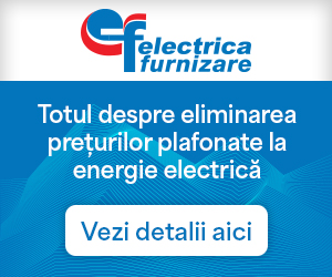 Totul despre eliminarea prețurilor plafonate la energie electrică