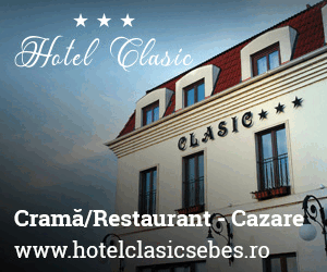 Motel Dacia Sebeș