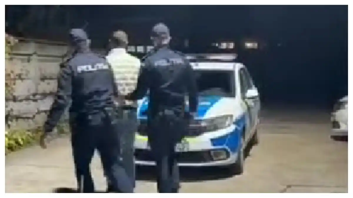 VIDEO | Bărbat din Mihalț, REȚINUT de polițiști. A încălcat ordinul de protecție după ce a intrat în curtea în curtea fostei sale soții