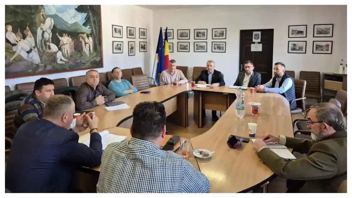 Întâlnire la Câmpeni despre gestionarea arborilor periculoși din apropierea liniilor electrice: Soluții pentru prevenirea avariilor în Munții Apuseni